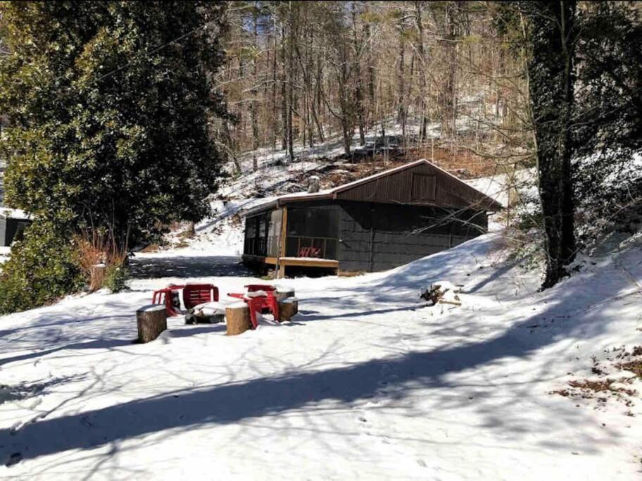 Cabin At The Cove At Watauga Lake Butler Kültér fotó